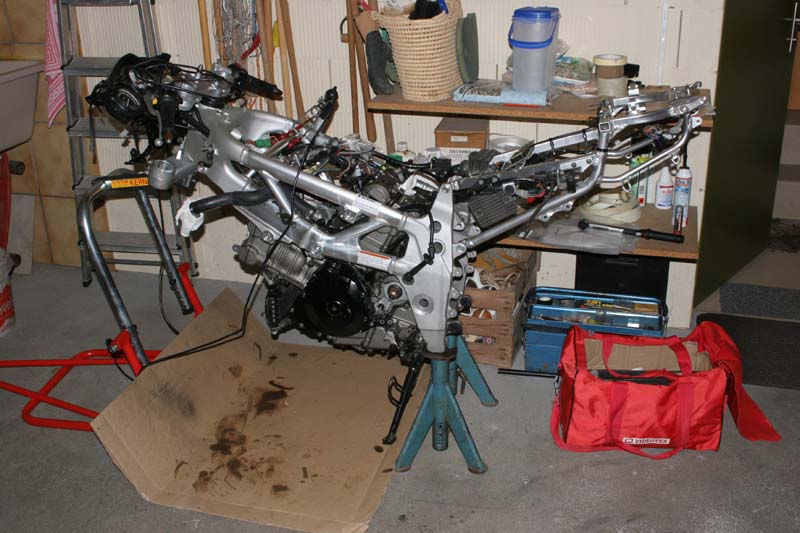 Bild
